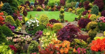 Un giardino meraviglioso
